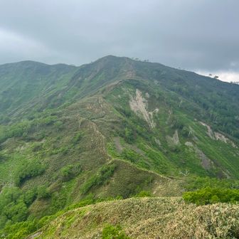 登山道👣
綺麗に整備され感謝しかありません

ありがとうございます🙇‍♀️
