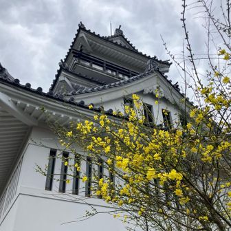 この黄色は鮮やかな色ですね！