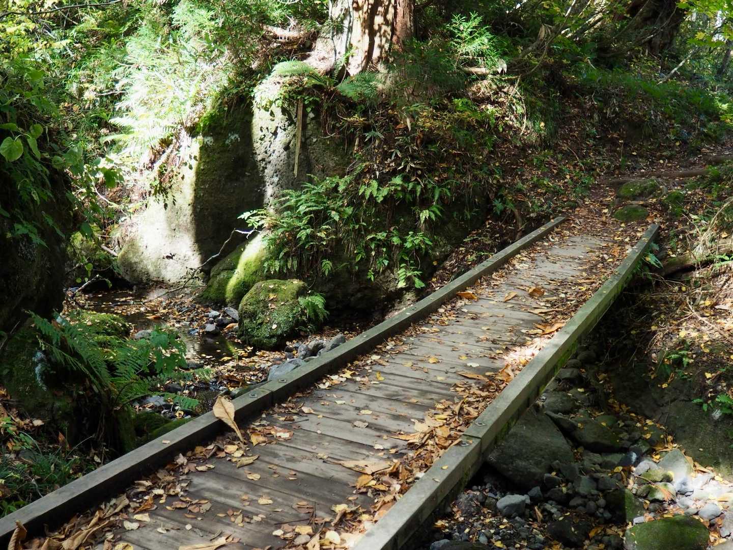 橋