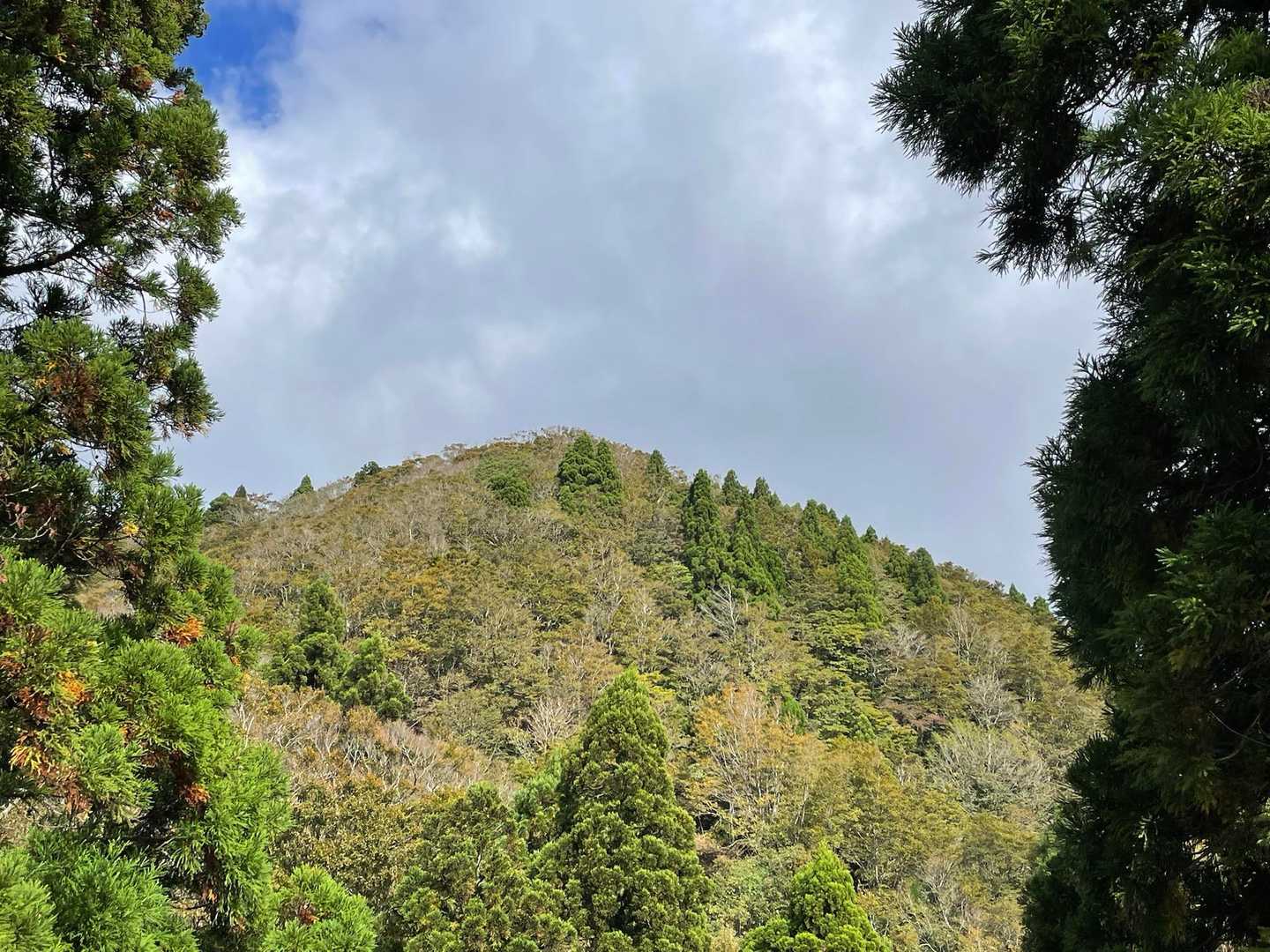 百里ヶ岳をふりかえりつつ