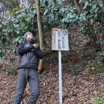 ザビエルを感じてきます。