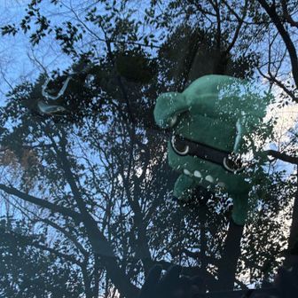 デリ丸君ただいま🤗