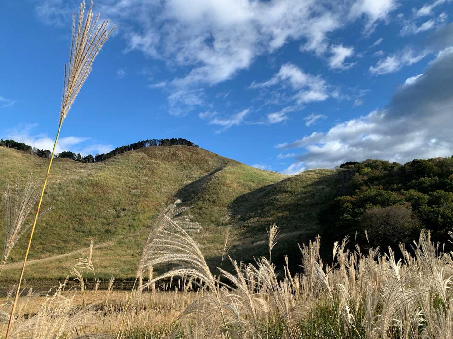 亀山峠-亀山 周回コースの写真