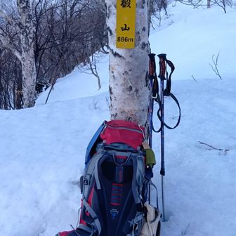 立派な看板あり。