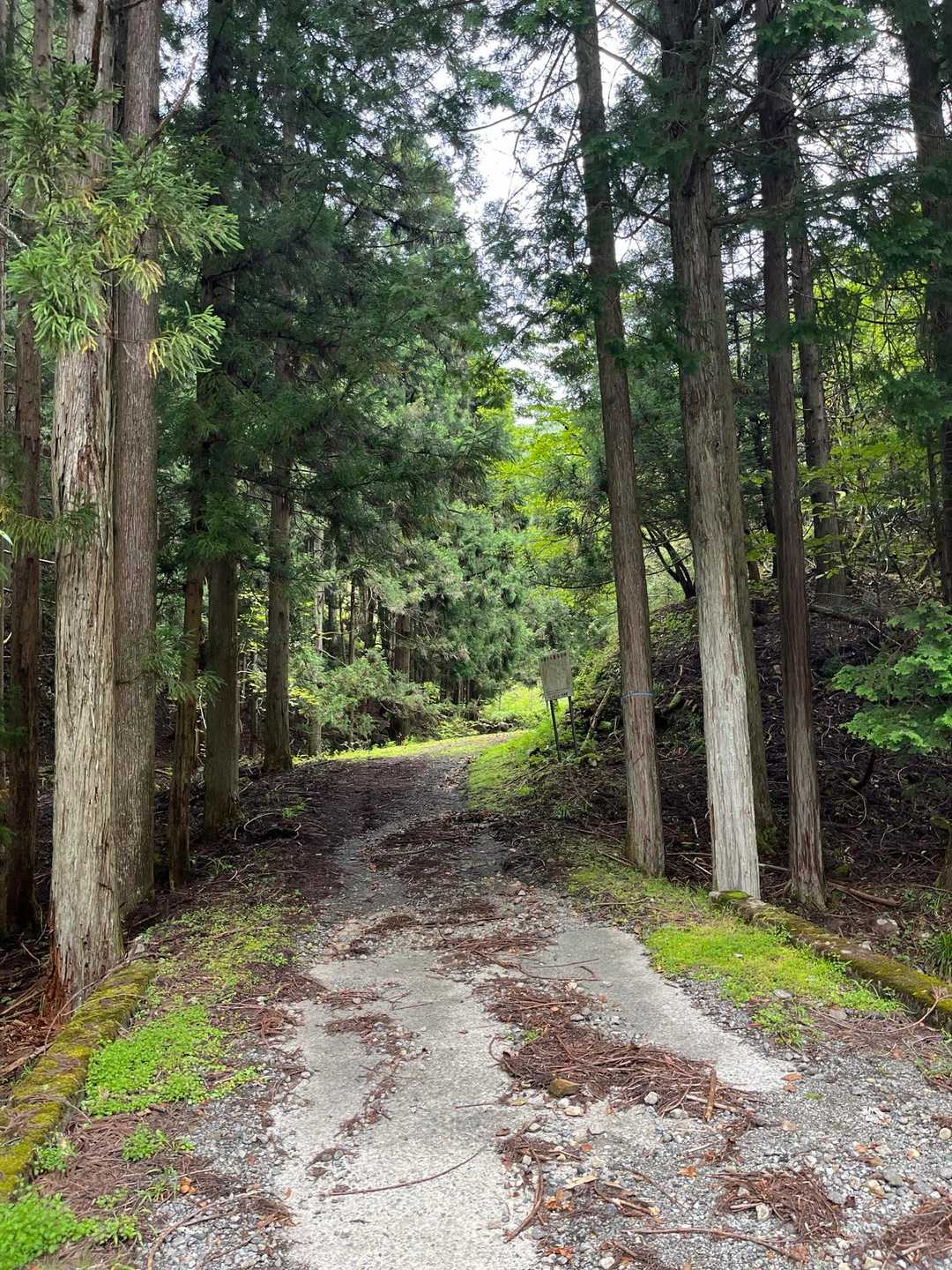 東床尾山登山口-東床尾山 往復コースの写真