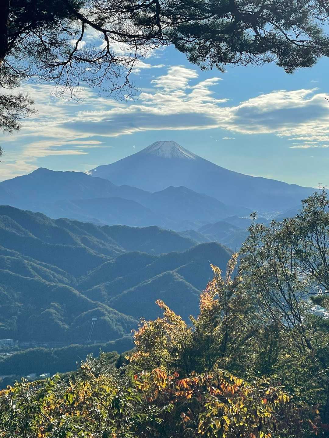 のんびり静かに、扇山→百蔵山縦走 / rinkoさんの百蔵山・扇山・権現山の活動データ | YAMAP / ヤマップ