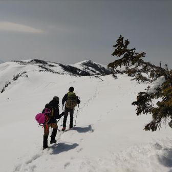 ぬるっと大戸沢岳山頂を過ぎてしまいました。会津駒ヶ岳に戻る道中。