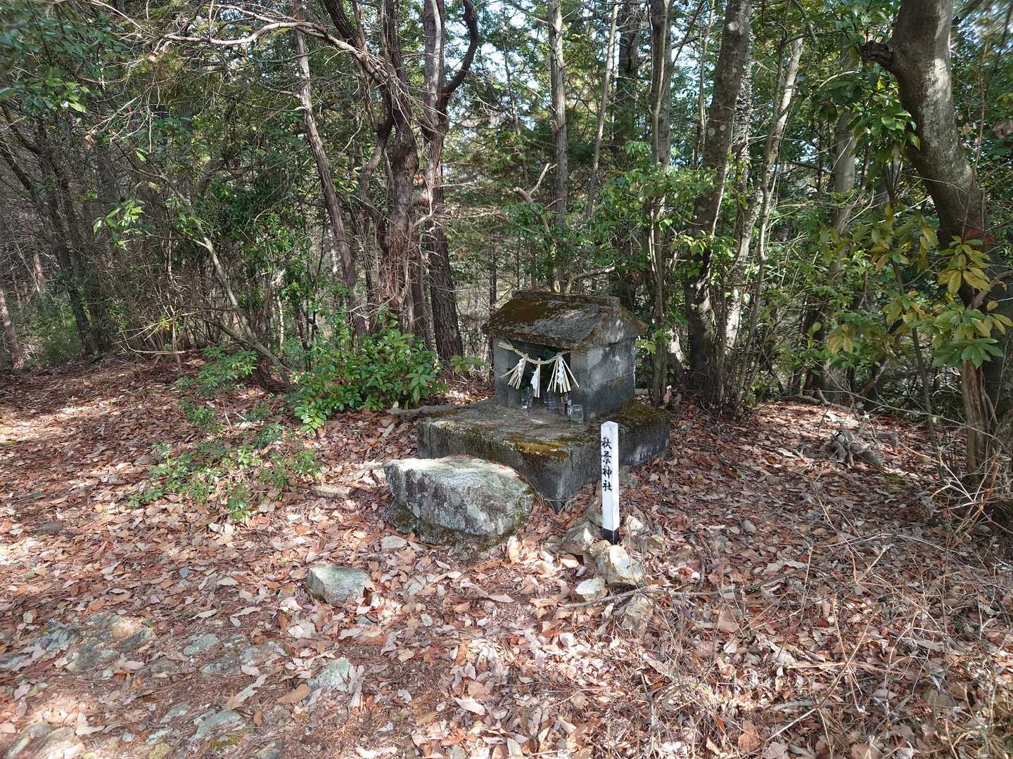 着いた（笑）

いや‥
ここは
神社で‥
ピークちゃうわ
キョロキョロ👀