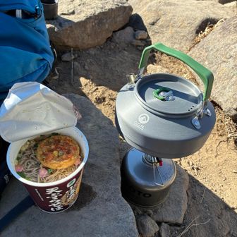 今回は手抜きでカップ蕎麦