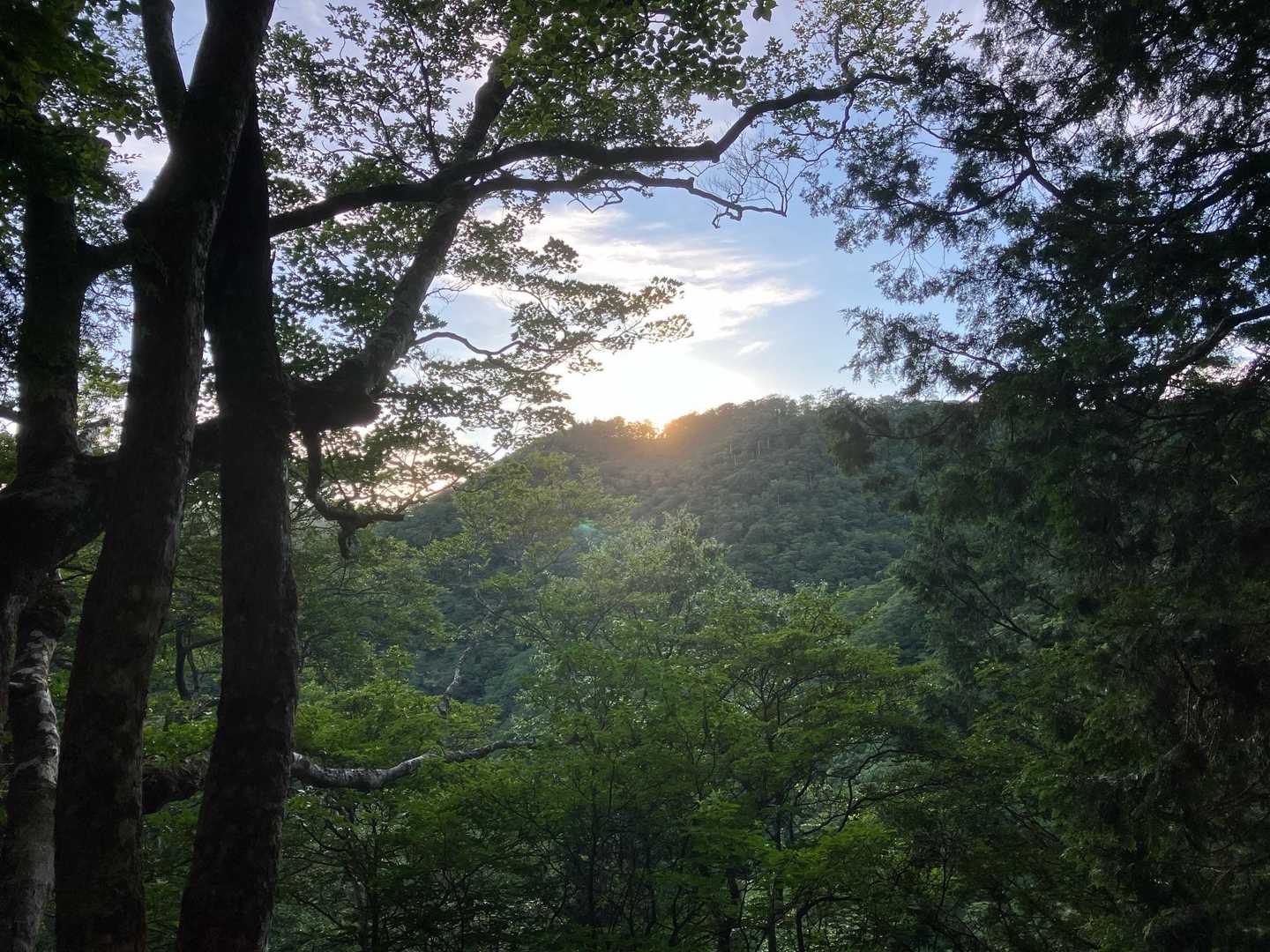 朝陽が、差し込み気温も、上昇！
💦滝汗
でも、山頂付近は、涼しくて、補給水1.5Lで足りました。