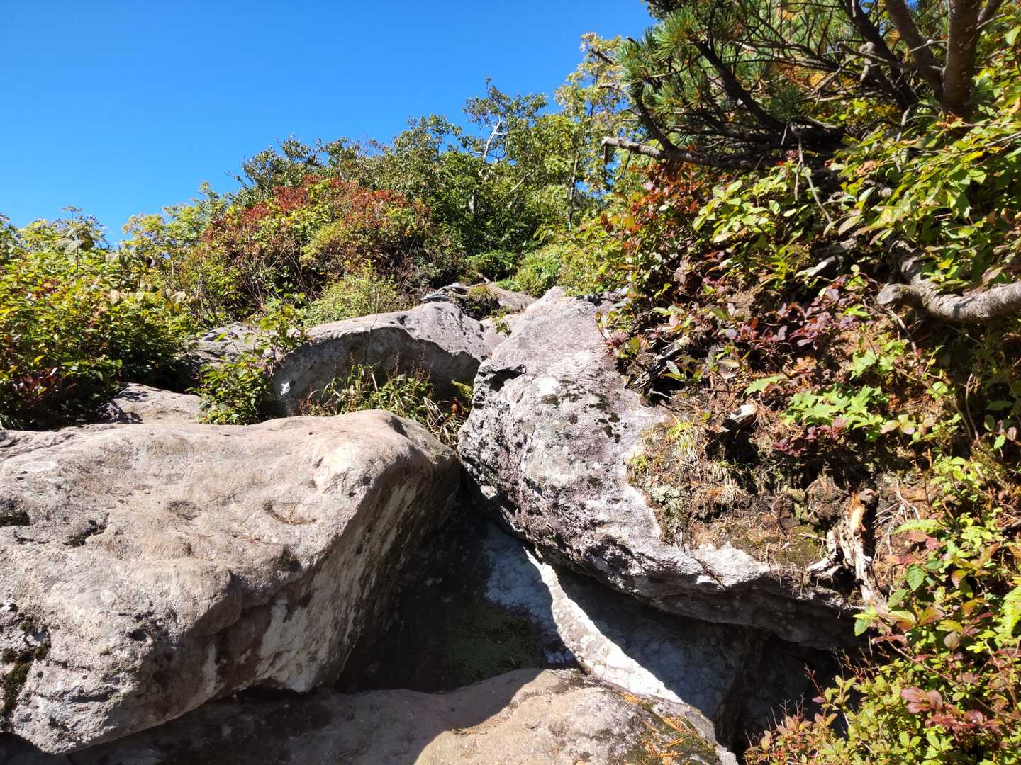 少しずつ大変な登りになりました