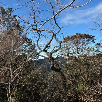 今日は青空良い天気☀️
明日からは寒くなるんだってねー
みなさんお気をつけて！