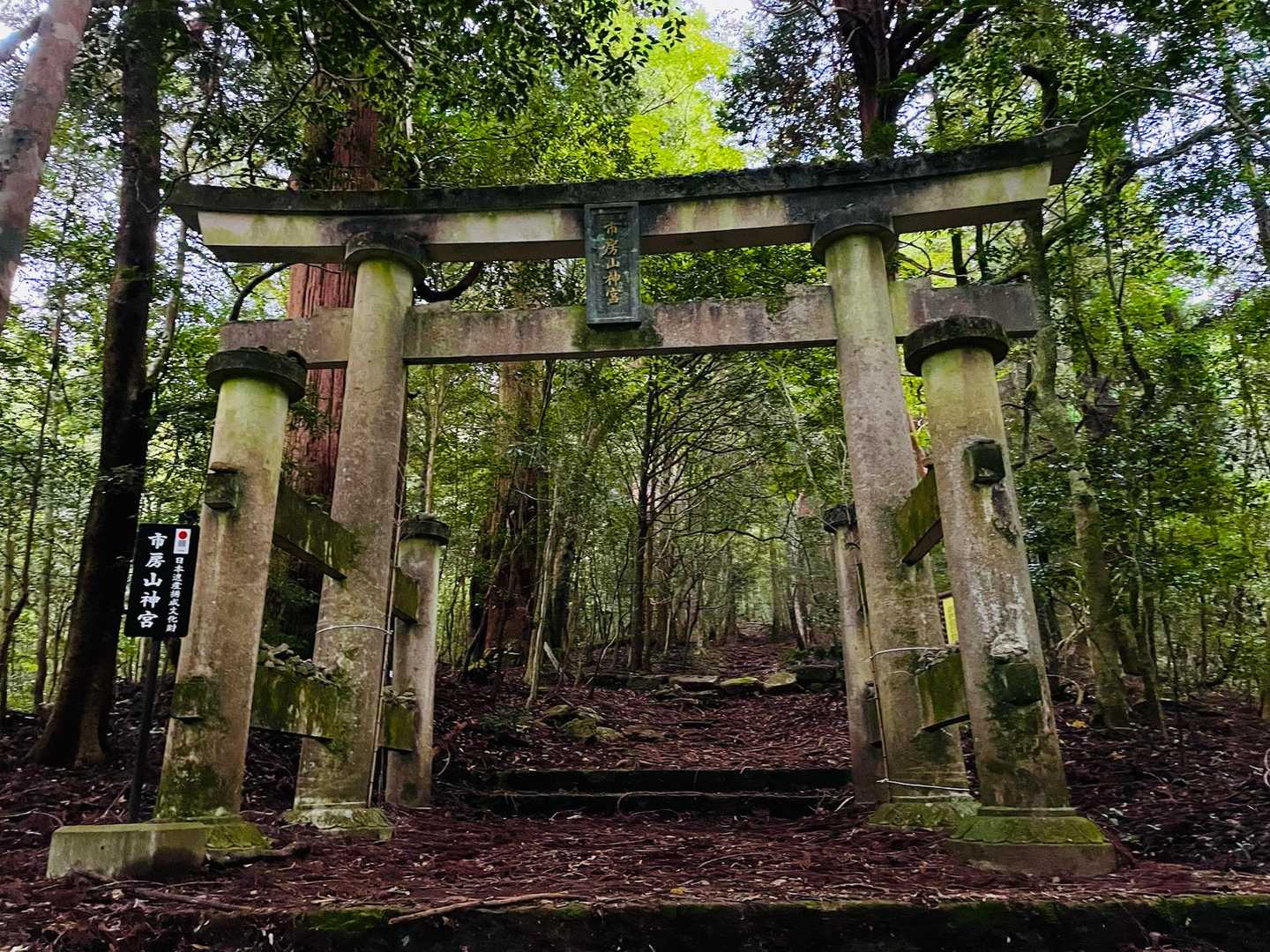 oh〜宝満山の鳥居を思い出すね
