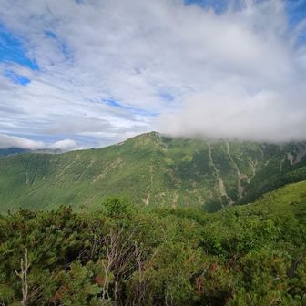 小河内岳の方向だったかな？