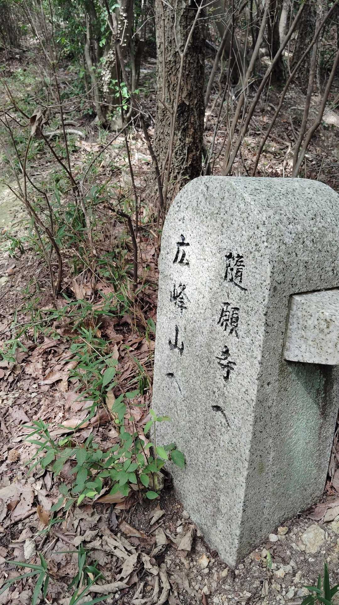 弥高山-廣峯神社 周回コースの写真