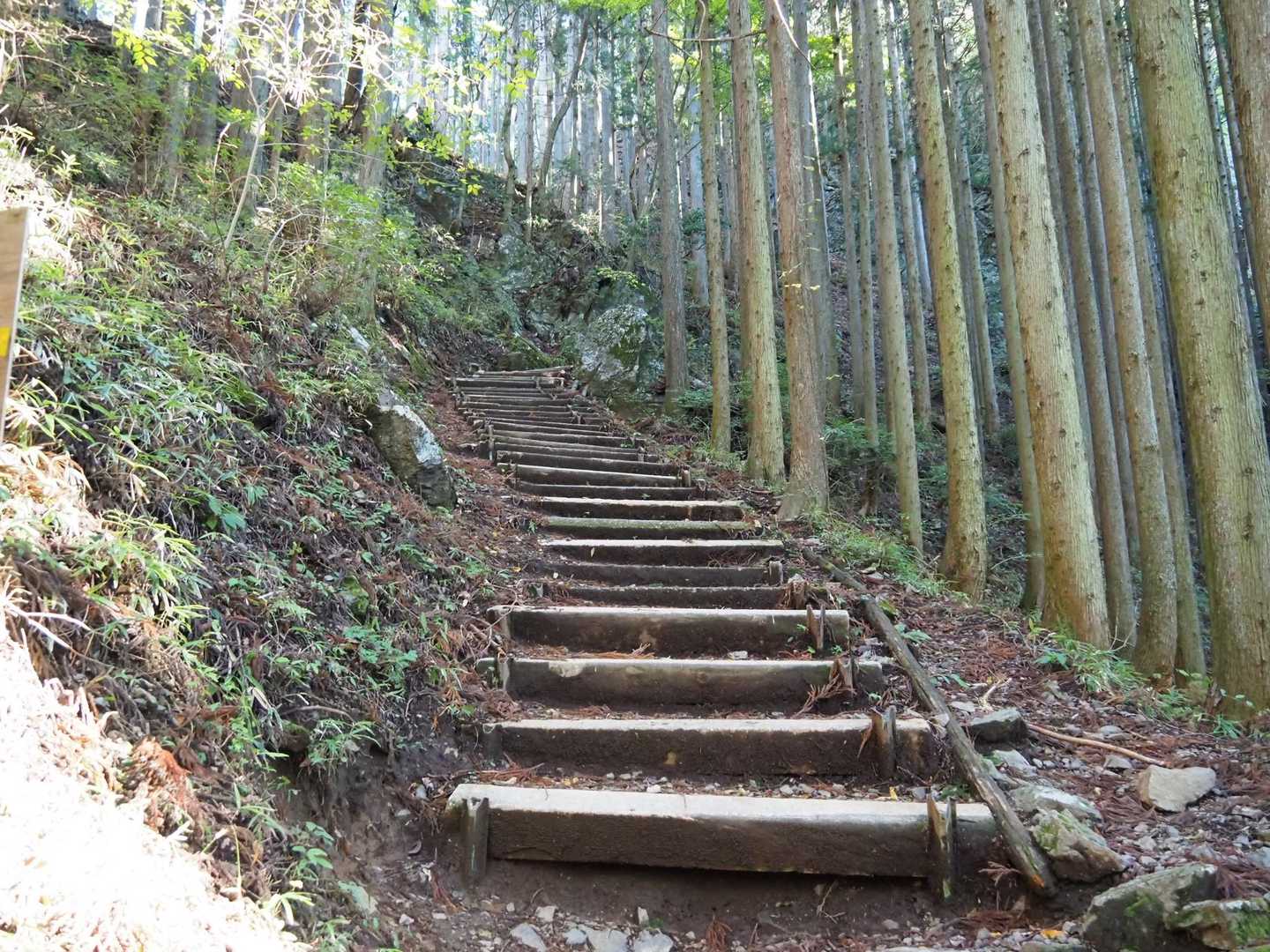 ここから階段ですね😫