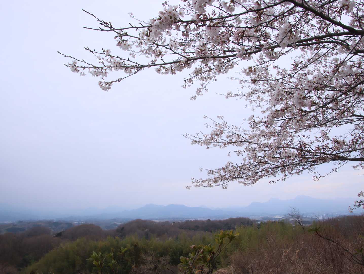 ぼんやりだけど
妙義山方面