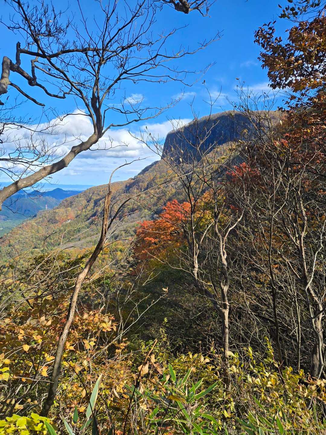帰りの写真は沢山🤣‼️