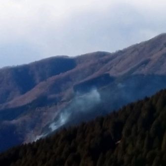 稜線に出るとやっぱり煙りが上がっているのが見えた。
ホーム丹沢の馬鹿尾根が山火事になるなんて…