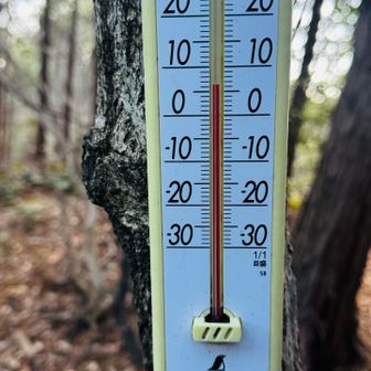 気温6.3℃  風が無く快適