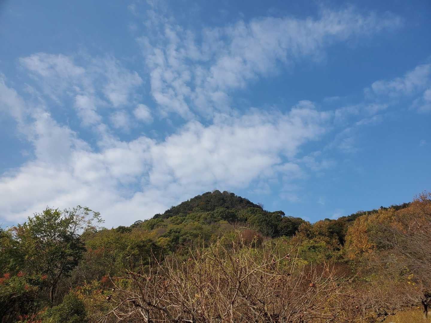 堂山北嶺 往復コースの写真