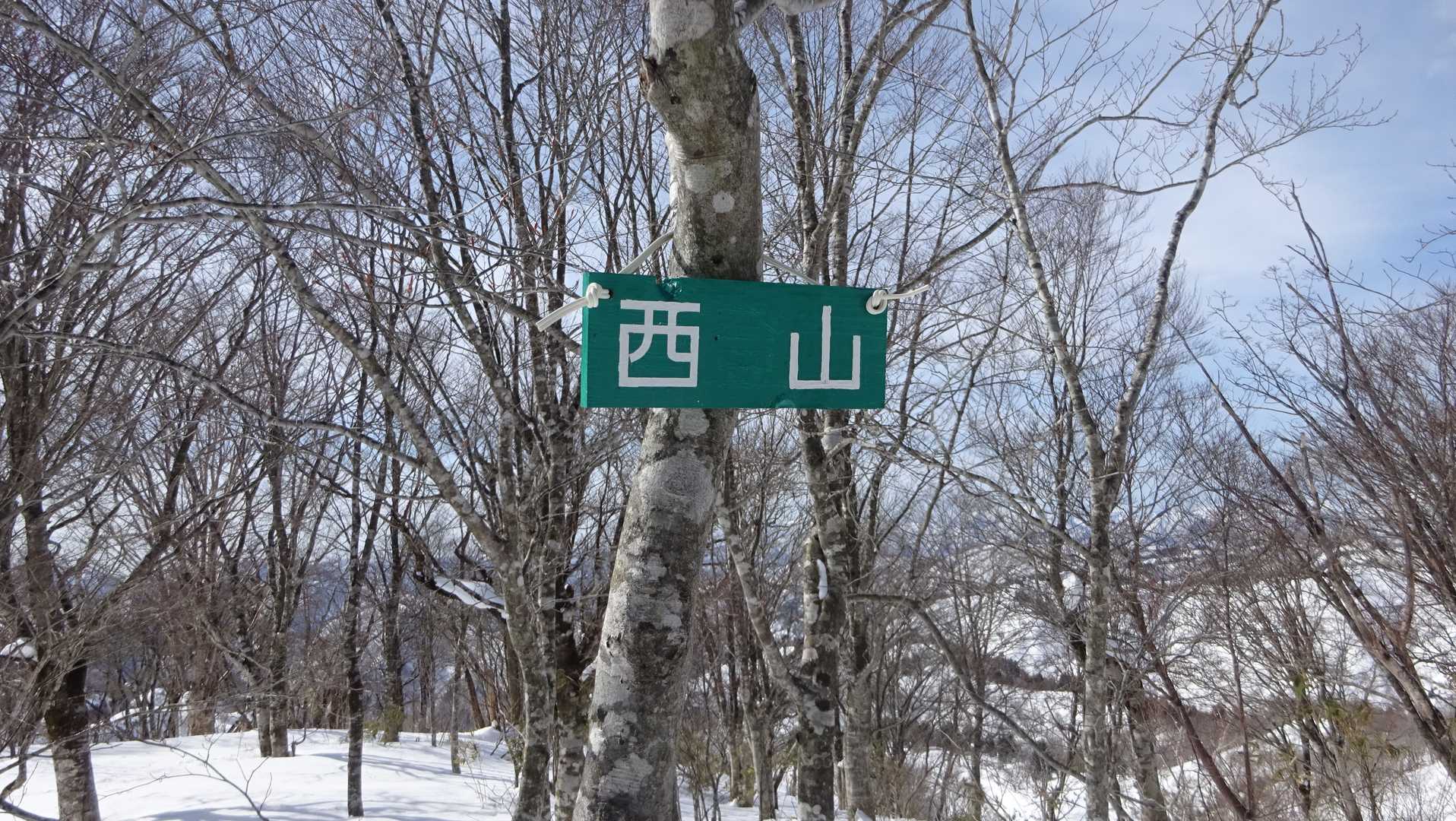 取り付けました！みんな見に来てね！