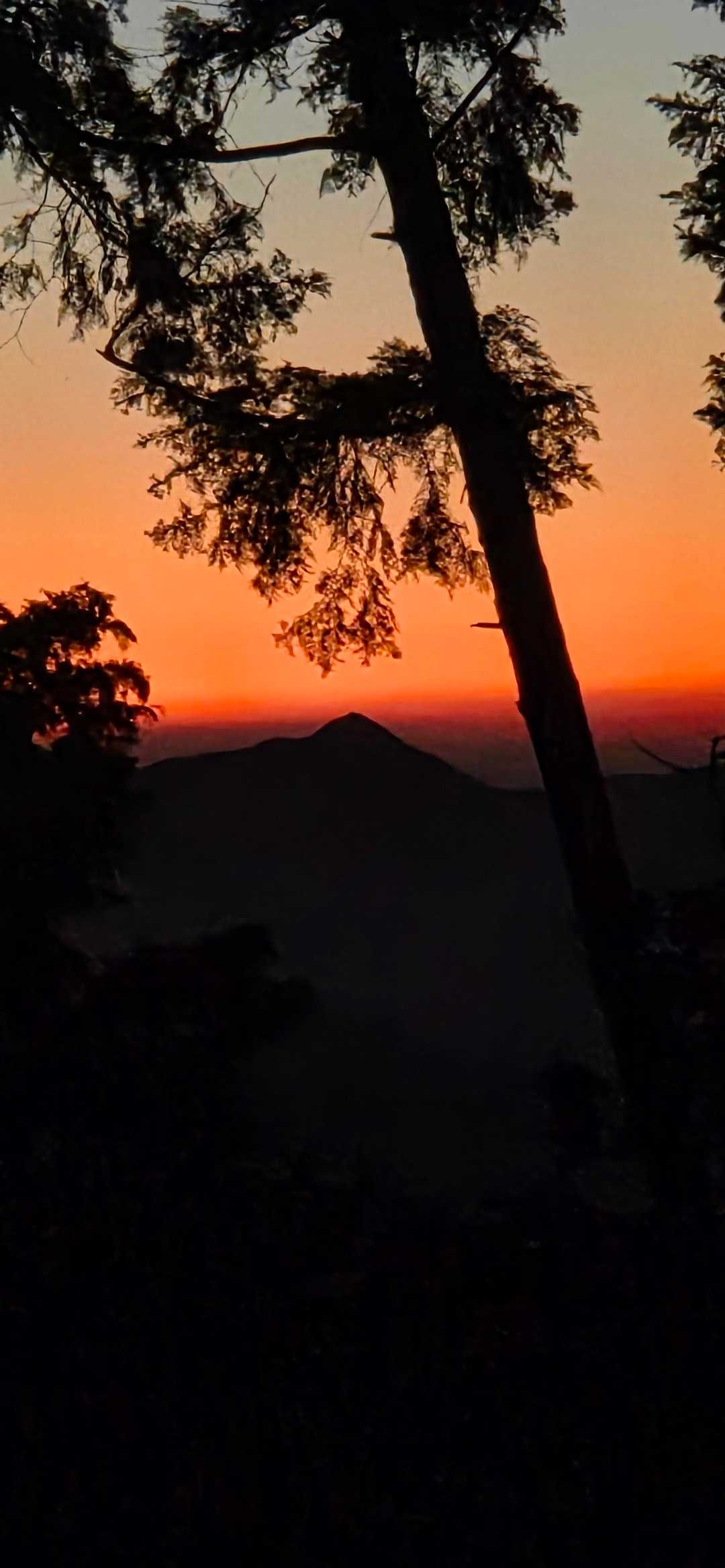 高見山