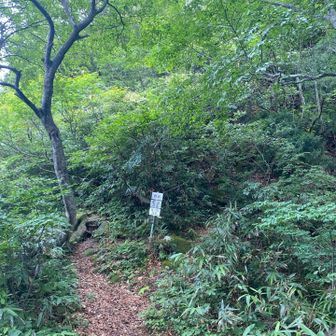 夏冬分岐