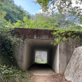 トンネル見えたらもうすぐ。12時待ち合わせ。急げ💨