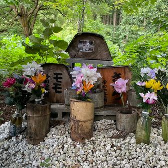 まずはさくらちゃんとモモちゃんのお墓参り🙏