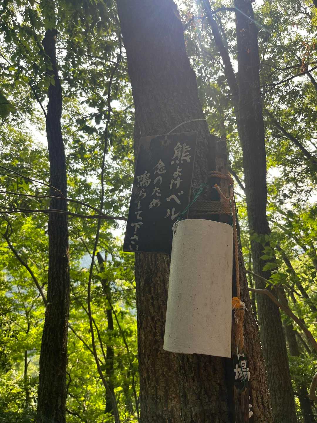 鎌刃山 往復コースの写真