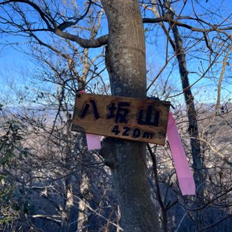 ここは見晴らし❌