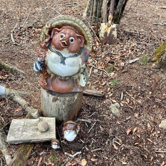 たぬきさん　家族が増えてました😃地域の方が大事にしている様子