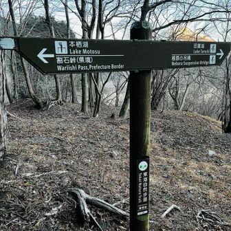 段々寒くなってきた