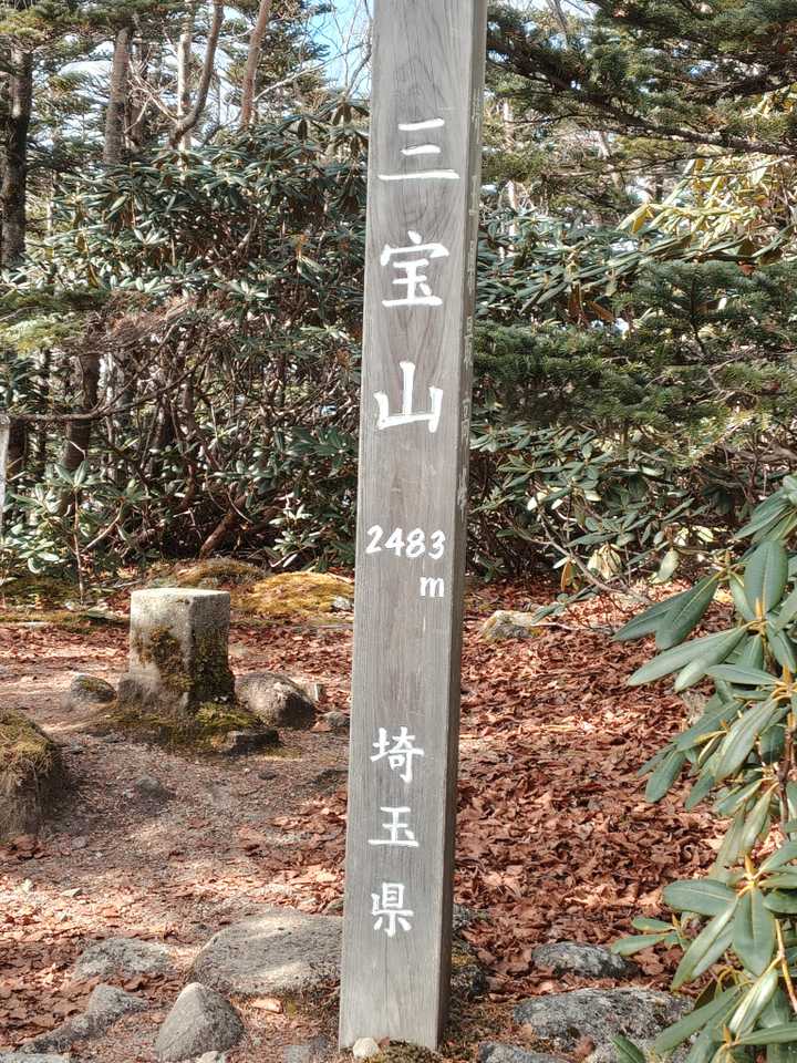 10/24-25雨の中の紅葉の甲武信ヶ岳... / mnishi55さんのモーメント | YAMAP / ヤマップ