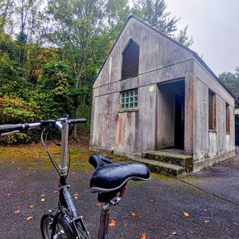 デポしたチャリで一気に下山🚴‍♀️💨
