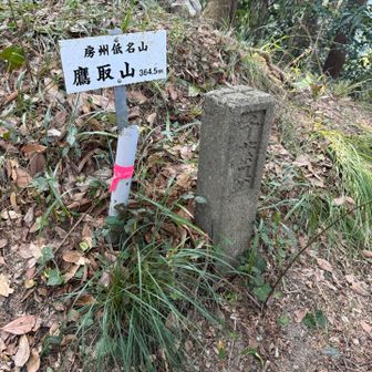 ここまでの登り返しがきつかった。