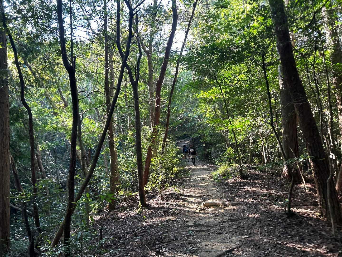 撮ってる間に‥‥！
