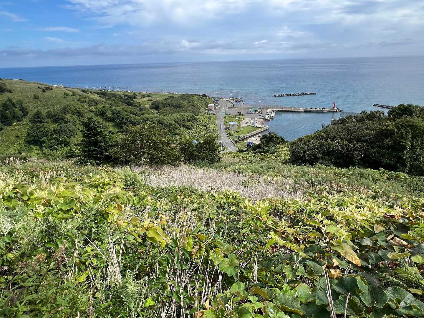 少しあがると築港や海が見渡せます✨