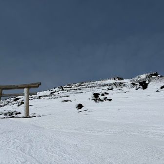 鳥居を見て撤退