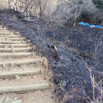 広範囲に焼けてました。