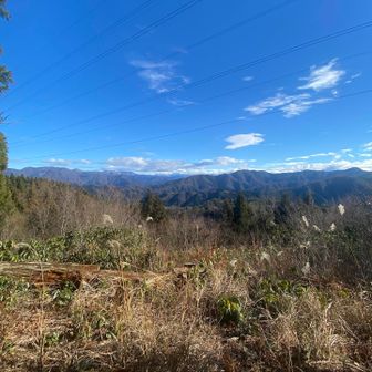 山頂から少し下って、こちらは白山展望台
白山が真ん中あたりに見えるはずなんですが、雲で見えません☁️