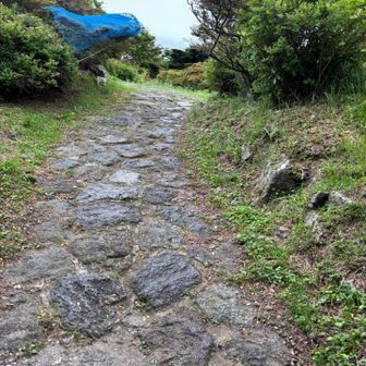 200km超雲仙・普賢岳に登りたいばっかで
やって来たけど‥

お散歩道な野岳へ