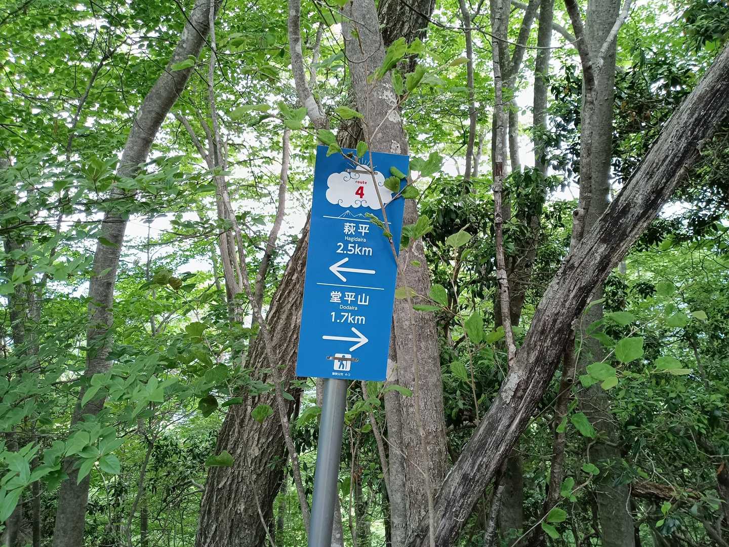 こんな綺麗な標識が出来てた🤩