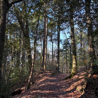 陽射しがあって明るく歩きやすかった。