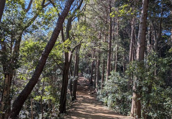 草戸山の最新登山情報 / 人気の登山ルート、写真、天気など | YAMAP