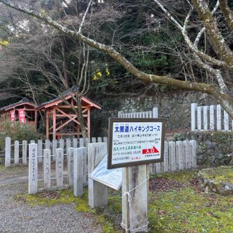 給水して、太閤道へGO‼️