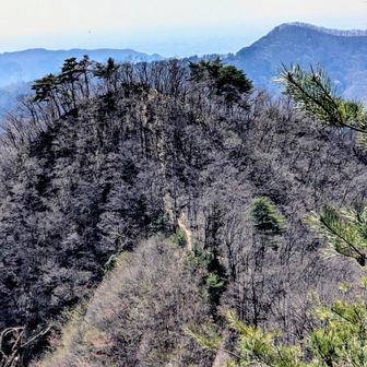 宗の岳に沢山の人影（ツアー？20人程って言ってた）暫くは来ないな😁当初、犬帰りの鎖場まで計画してたけど…団体さんとのスライド面倒なのでここから松田川ダムへの下山ルートで帰る