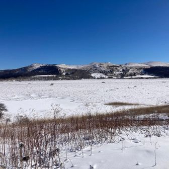 八島湿原入り口。サラサラの粉雪が10センチほど。