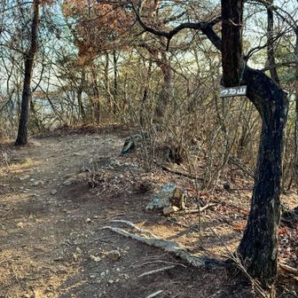 つる山登頂✌️